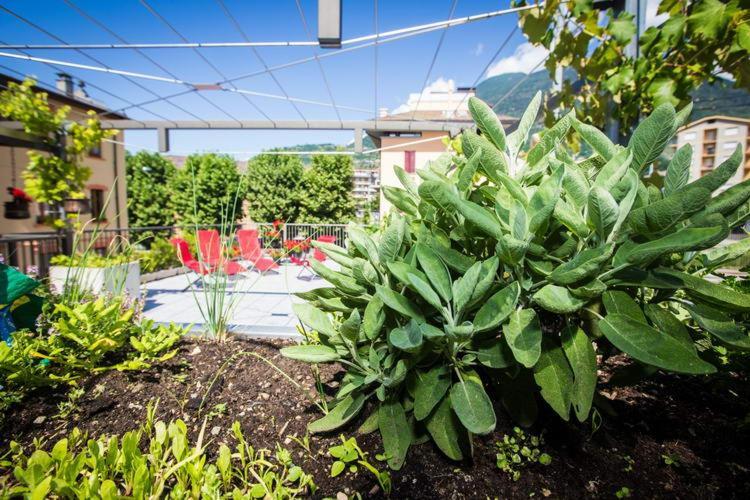 B&B Panemiele Sondrio Exteriör bild