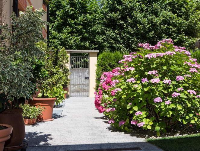 B&B Panemiele Sondrio Exteriör bild
